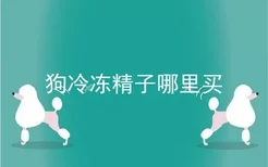 狗冷冻精子哪里买