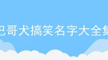 巴哥犬搞笑名字大全集