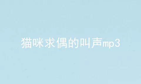 猫咪求偶的叫声mp3