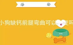 小狗缺钙前腿弯曲可以恢复吗