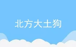 北方大土狗