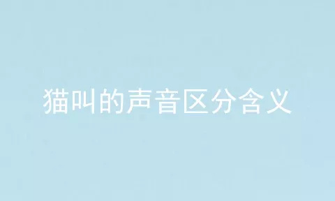 猫叫的声音区分含义