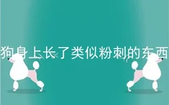 狗身上长了类似粉刺的东西