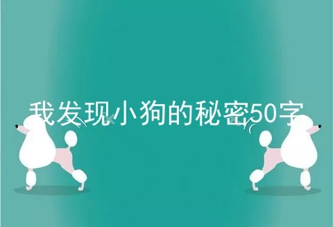 我发现小狗的秘密50字