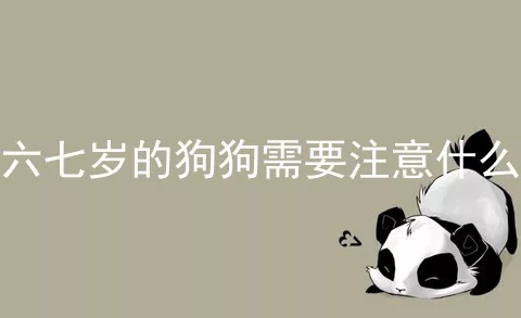 六七岁的狗狗需要注意什么