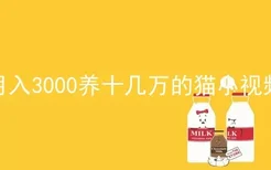 月入3000养十几万的猫小视频