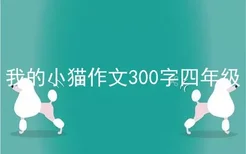 我的小猫作文300字四年级