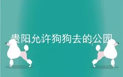 贵阳允许狗狗去的公园