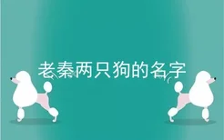 老秦两只狗的名字