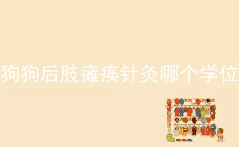 狗狗后肢瘫痪针灸哪个学位