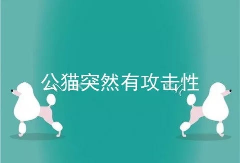 公猫突然有攻击性