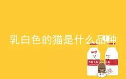 乳白色的猫是什么品种