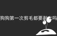 狗狗第一次剪毛都要剃光吗