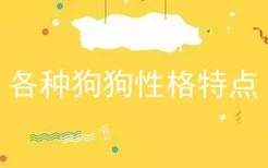 各种狗狗性格特点