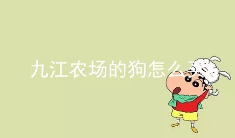 九江农场的狗怎么买