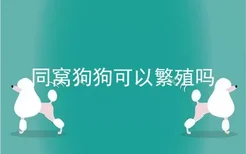 同窝狗狗可以繁殖吗