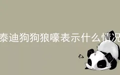 泰迪狗狗狼嚎表示什么情况