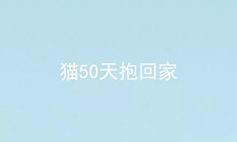 猫50天抱回家