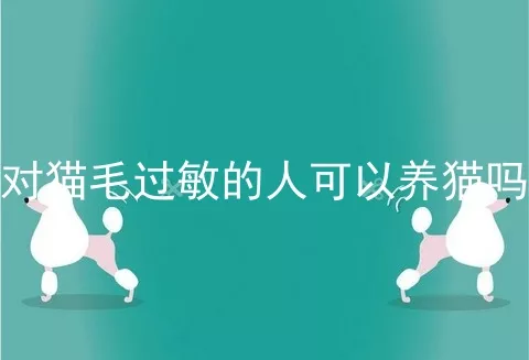 对猫毛过敏的人可以养猫吗