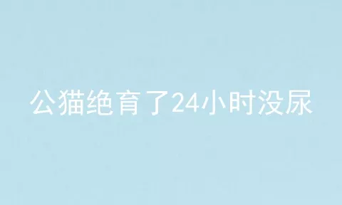 公猫绝育了24小时没尿