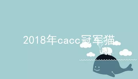 2018年cacc冠军猫