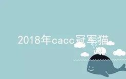 2018年cacc冠军猫