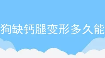 小狗缺钙腿变形多久能好