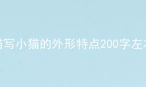 描写小猫的外形特点200字左右