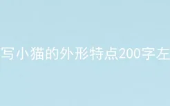 描写小猫的外形特点200字左右