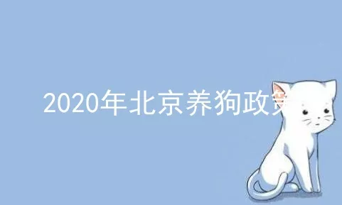2020年北京养狗政策