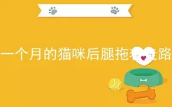 一个月的猫咪后腿拖着走路