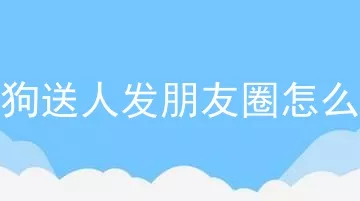 狗狗送人发朋友圈怎么说