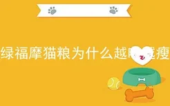 绿福摩猫粮为什么越吃越瘦