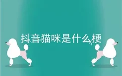 抖音猫咪是什么梗