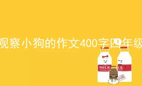 观察小狗的作文400字四年级