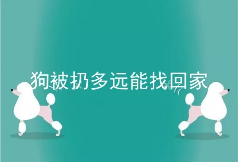 狗被扔多远能找回家