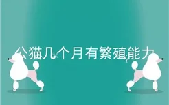 公猫几个月有繁殖能力