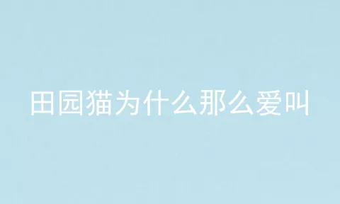 田园猫为什么那么爱叫