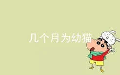 几个月为幼猫