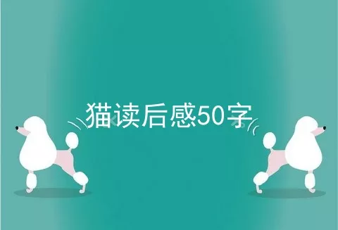 猫读后感50字