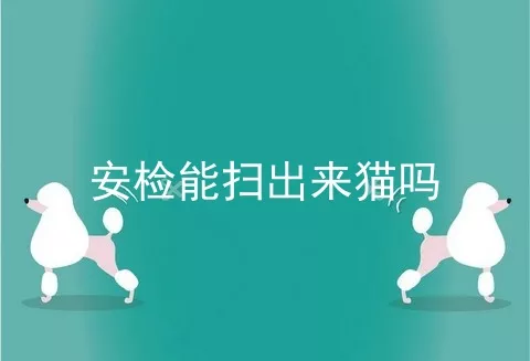 安检能扫出来猫吗