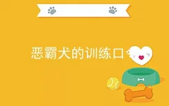 恶霸犬的训练口令