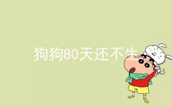 狗狗80天还不生