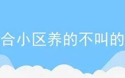 适合小区养的不叫的狗