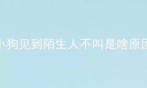 小狗见到陌生人不叫是啥原因