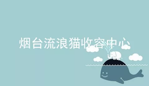 烟台流浪猫收容中心