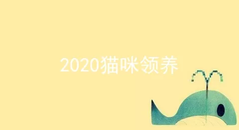 2020猫咪领养