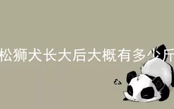 松狮犬长大后大概有多少斤