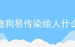 泰迪狗易传染给人什么病