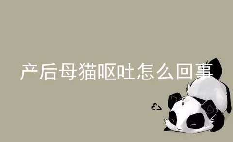 产后母猫呕吐怎么回事